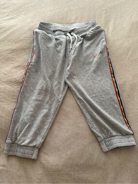 2xist Mens Gray Short Sweatpants with Rainbow Side Stripes